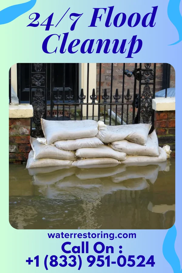 24/7 Flood Cleanup in Harrington, DE