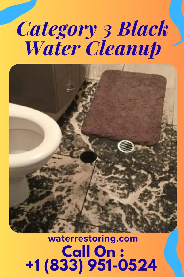 Category 3 Black Water Cleanup in Harrington, DE