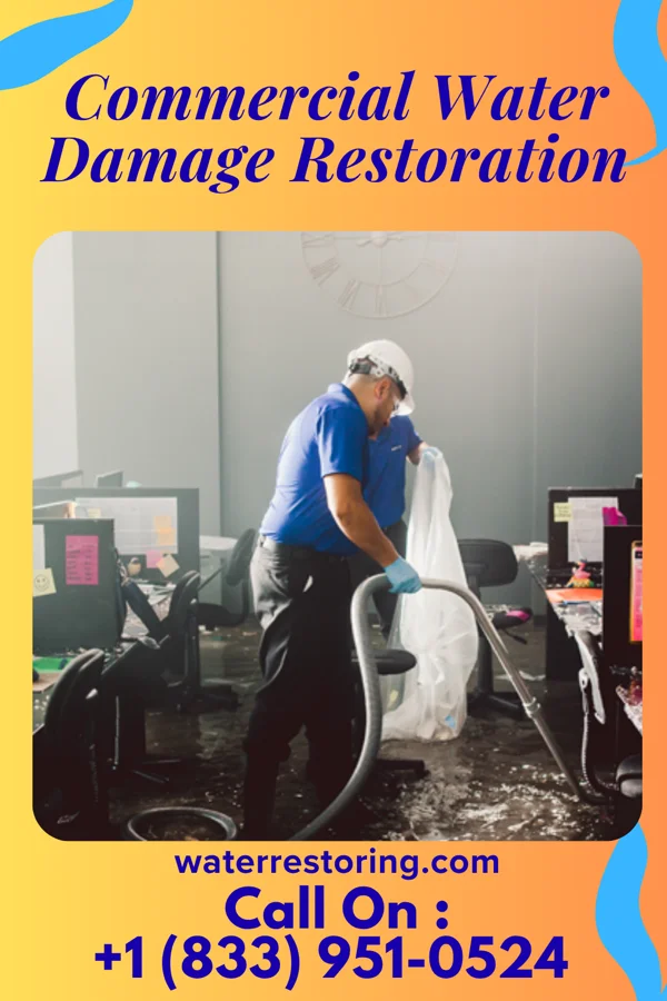 Commercial Water Damage Restoration in Harrington, DE