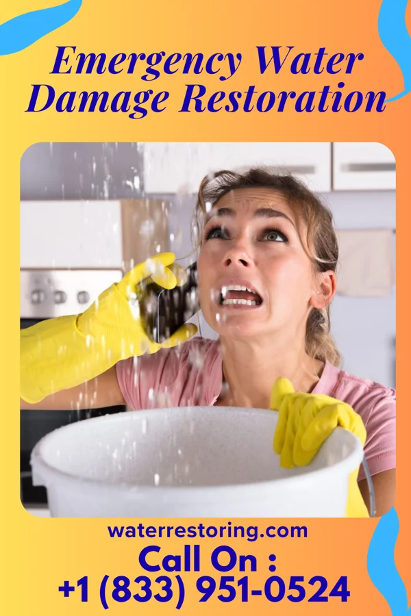 Emergency Water Damage Restoration in Harrington, DE