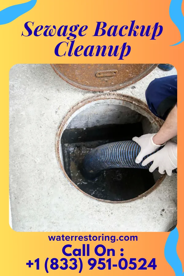 Sewage Backup Cleanup in Harrington, DE